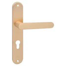 malaga-klamka-na-szyldzie-dlugim-na-wkladke-zlote-szczotkowane-aluminium