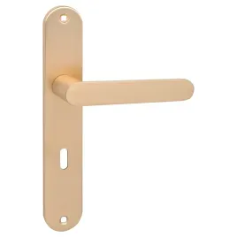 malaga-klamka-na-szyldzie-dlugim-na-klucz-zlote-szczotkowane-aluminium