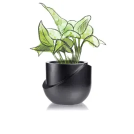 donica-cut-my-top-black-metallic-13cm-doniczka