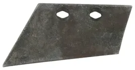 lemiesz-przedpluzka-lewy-gregoire-besson-19113