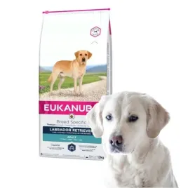 eukanuba-breed-nutrition-labrador-retriever-adult-sucha-karma-dla-psa-12kg