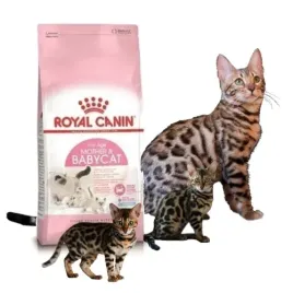royal-canin-sucha-karma-dla-kota-fhn-baby-cat-36-04-kg