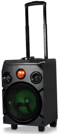 piecyk-gitarowy-wzmacniacz-bluetooth-25w-wbud-aku