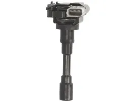 delphi-gn10318-12b1-cewka-zaplonowa