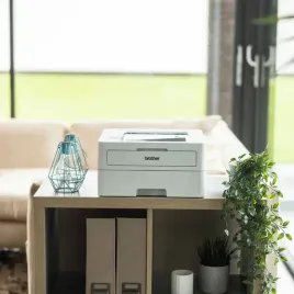 drukarka-laserowa-brother-hl-b2180dw