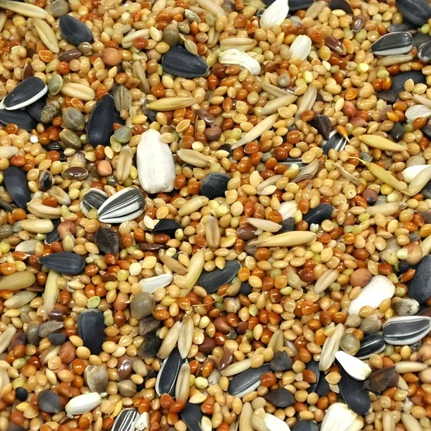 Karma dla małych papug 20 kg Flornas