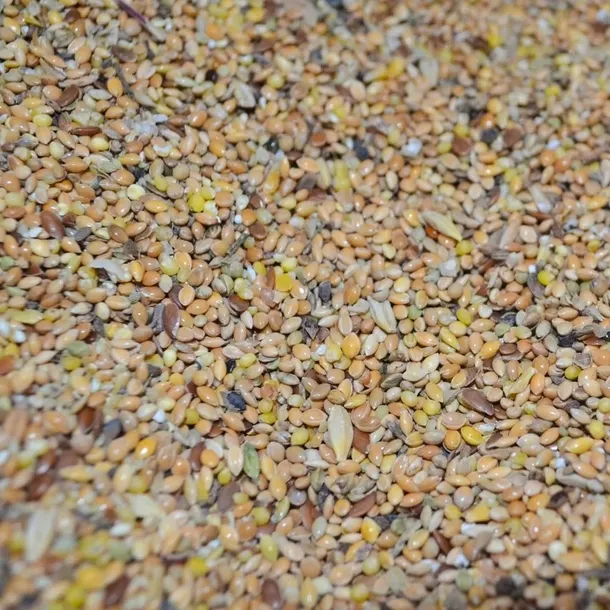 MIX zbożowy drobne nasiona mieszanka zbóż 25 kg
