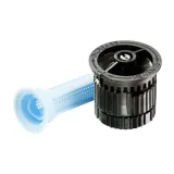 dysza-he-van-15-rainbird