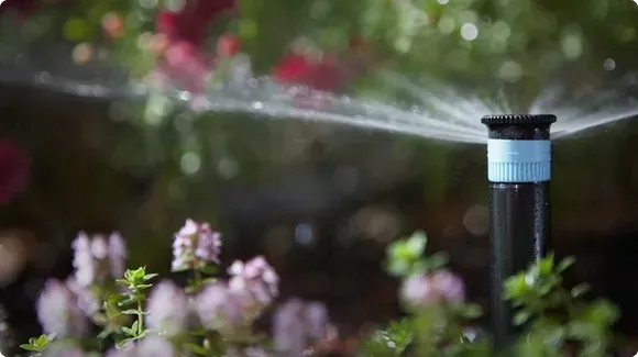 dysza-statyczna-4a-hunter-09m-12m-stan-nowy