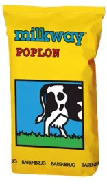 barenbrug-bandg-13-poplon-15kg-mieszanka-trawa-pastewna
