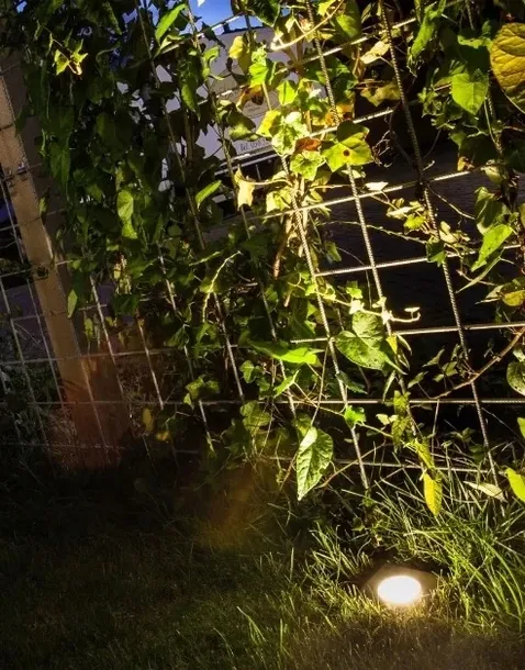 easy-lock-zlacze-kablowe-do-systemu-in-lite-stan-nowy-rodzaj-inne