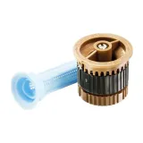 dysza-he-van-12-rainbird