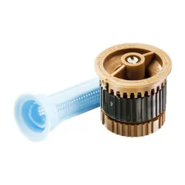 dysza-he-van-12-rainbird