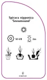 etykiety-do-roslin-spiraea-nipponica-snowmound-stan-nowy