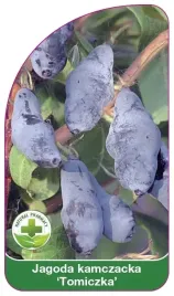 etykiety-do-roslin-jagoda-kamczacka-tomiczka
