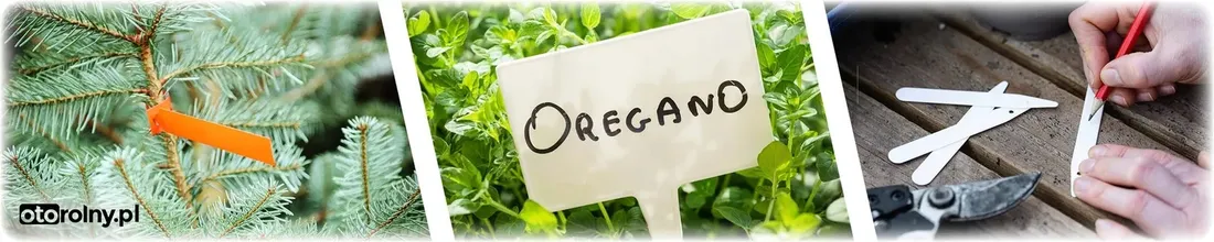 etykiety-do-roslin-miscanthus-sinensis-goliath