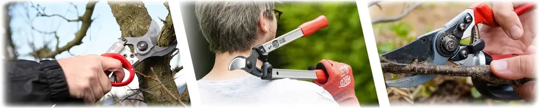 sekator-jednoreczny-model-standardowy-felco-4