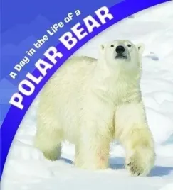 a-day-in-the-life-of-a-polar-bear