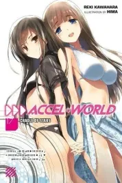 accel-world-vol-17-reki-kawahara