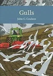 gulls-professor-john-c-coulson