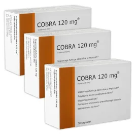 90x-tabletki-na-erekcje-potencje-libido-cobra-120-poziom-testosteronu