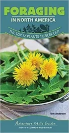 foraging-in-north-america-the-top-12-plants-to-se