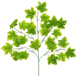 galazka-klonu-klon-zielone-listki-lisc-liscie-70cm