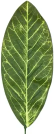 lisc-sztuczny-dekoracyjny-liscie-zielony-deko-48cm