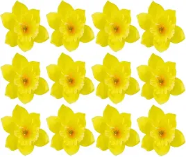 zonkil-zolty-12cm-zonkile-wielkanoc-stroik-12-szt