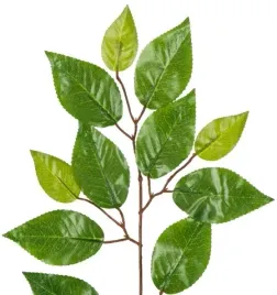 zielona-galazka-benjamin-listki-lisc-liscie-60-cm