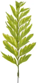 galazka-ozdobna-zielona-lisc-zielen-liscie-23-cm