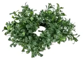 wianek-bukszpanowy-kolo-z-bukszpanu-bukszpan-18-cm