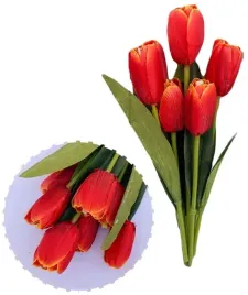 czerwony-tulipan-tulipany-bukiet-wiosna-37cm-7-szt