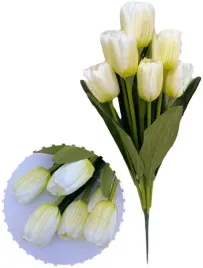 bialy-tulipan-tulipany-bukiet-wiosna-37cm-7-sztuk