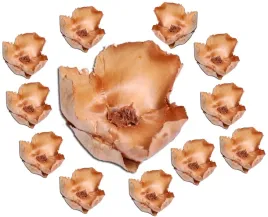 palmbluete-naturalny-palm-cup-susz-egzotyczny-x12