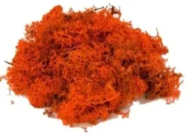 chrobotek-reniferowy-mech-pomaranczowy-paczka-300g