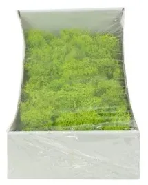 chrobotek-reniferowy-mech-jasnozielony-paczka-300g