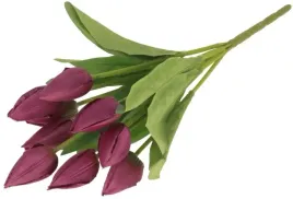 fioletowy-tulipan-tulipany-bukiet-wiosna-43cm-9szt