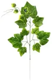 liscie-winogron-winorosl-lisc-galazka-zielona-53cm