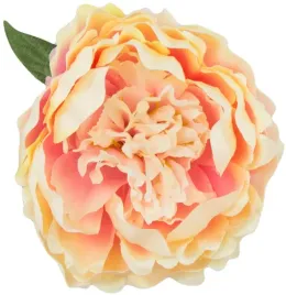piwonia-rozowa-kremowa-peonia-kwiat-glowka-12-cm
