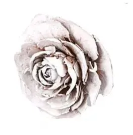 roza-cedrowa-naturalna-bielona-snieg-roze-cedrowe