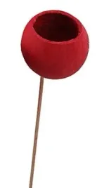 bell-cup-czerwony-duzy-na-patyku-susz-egzotyczny