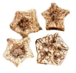 mehogani-kostka-kwadrat-dekor-susz-egzotyczny-4szt