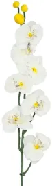 kremowy-storczyk-sztuczny-orchidea-galazka-72-cm