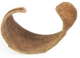 elephant-ear-susz-ucho-slonia-luska-lupina-6-14-cm