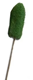 luffa-lufa-zielona-na-patyku-susz-egzotyczny-hit