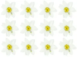 gwiazda-betlejemska-ecru-krem-6cm-poinsecja-12-szt