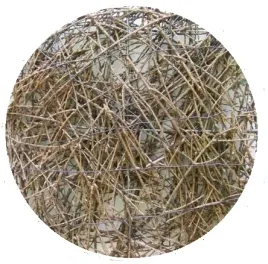 mata-z-faszyny-baza-podklad-faszyna-20-x-20-cm