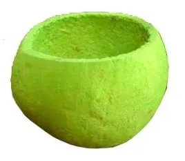 bell-cup-duzy-zielony-glowka-susz-egzotyczny-hit