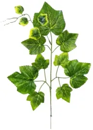 lisc-winogrona-winogrono-galazka-zielona-hit-55-cm